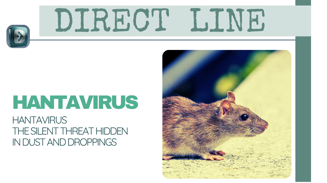 hantavirus blog (1) HANTAVIRUS THE SILENT THREAT health blog image showing a mouse and introduction to the hantavirus article